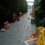 Ingresso