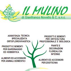Il Mulino (S.n.c.)