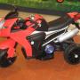 Moto Elettriche