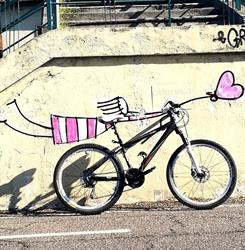 Il Paradiso Della Bicicletta Snc Di L'abbruzzi Mario E Manuela