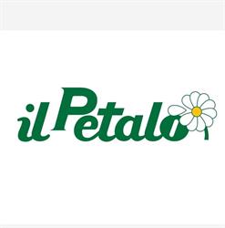 Il Petalo Di Rinna Rita