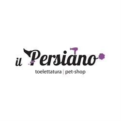 Il Persiano Di Cennini Adamo