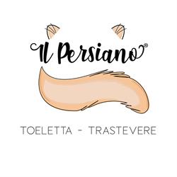 Il Persiano dal 1990