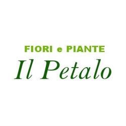 Il Petalo