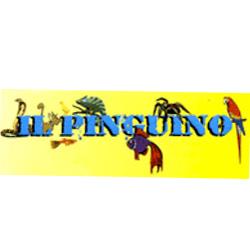 Il Pinguino