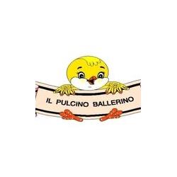 Asilo Nido Il Pulcino Ballerino