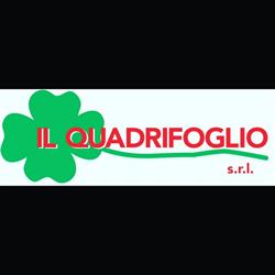 Il Quadrifoglio Di Cavina Roberto