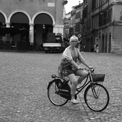 IL RAGNO