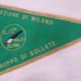 FASCIA ALPINI