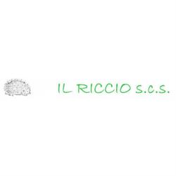 Il Riccio Csc