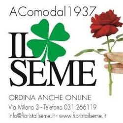 Il Seme S.A.S.