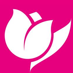 Il Tulipano