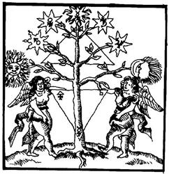 Il Vicolo Di Zattini Marisa & C. (S.a.s.)