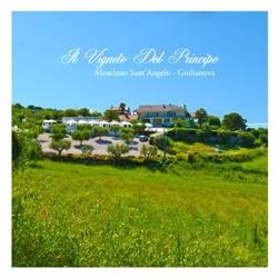 Il Vigneto del Principe