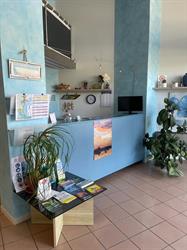 Immobiliare Carlotta SRL