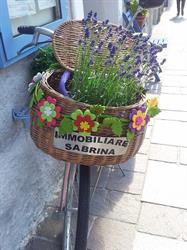 Immobiliare Sabrina
