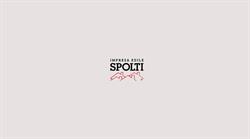 Impresa Di Costruzioni Spolti Di Spolti Mario & C. (S.N.C.)