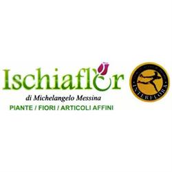 Ischiaflor di Michelangelo Messina