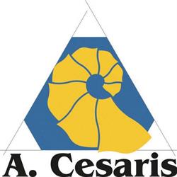 Istituto Di Istruzione Superiore A. Cesaris