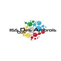 Istituto Di Istruzione Superiore Statale Des Ambrois