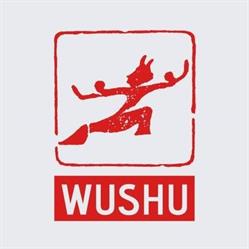 Istituto Di Wu-Shu Della Citta' Di Firenze