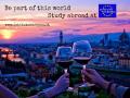 Italian Intensive Course