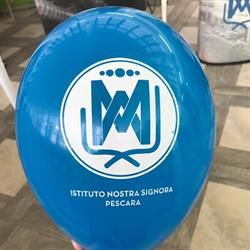Istituto Nostra Signora
