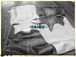 Italhide S.p.a.