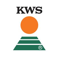 Kws Italia