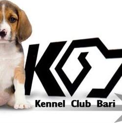 Kennel Club E.n.c.i