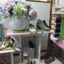 Vetrina Scarpe L'Aquilone