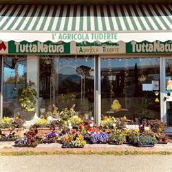 L'agricola Tuderte (S.n.c.)