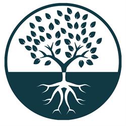 L'Albero Delle Meraviglie