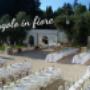 Fiori Freschi - L'Angolo in Fiore