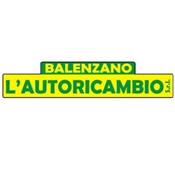 L'autoricambio SRL