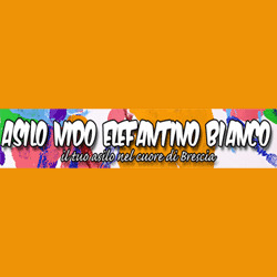 Asilo Nido L'Elefantino Bianco