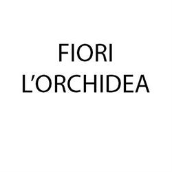 L'Orchidea