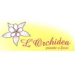 Orchidea Agenzia Funebre