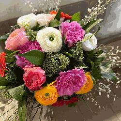 Fiori L’Orchidea