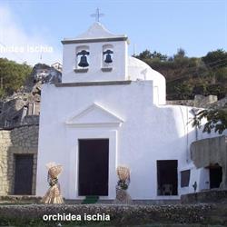 L'Orchidea Di Castaldi R.