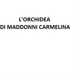 Fiori e Piante L'Orchidea
