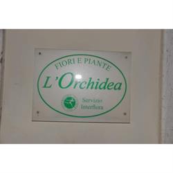 L'Orchidea di Rompietti Grazia