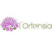 L'ortensia SNC Di Teglia d. & C.
