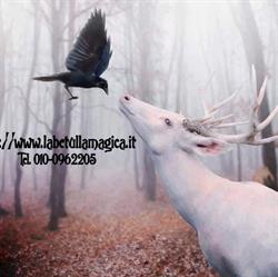 La Betulla (S.a.s.)