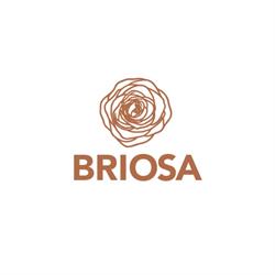 La Boutique Del Regalo BRIOSA
