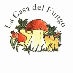 La Casa del Fungo