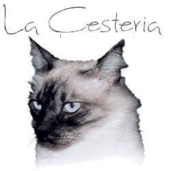 La Cesteria (S.n.c.)