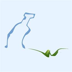 La Cristallina Water SRL