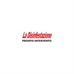 La Disinfestazione - Pronto Intervento
