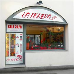 La Fioriera Di Zenobi Massimo
